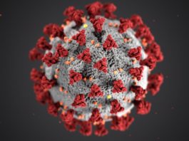 Coronavirus up (really) close - image from the CDC